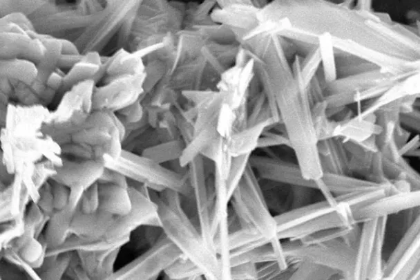 ACTILINC - Complesso di oligoelementi chelato ACTILINC - Complesso di oligoelementi chelato