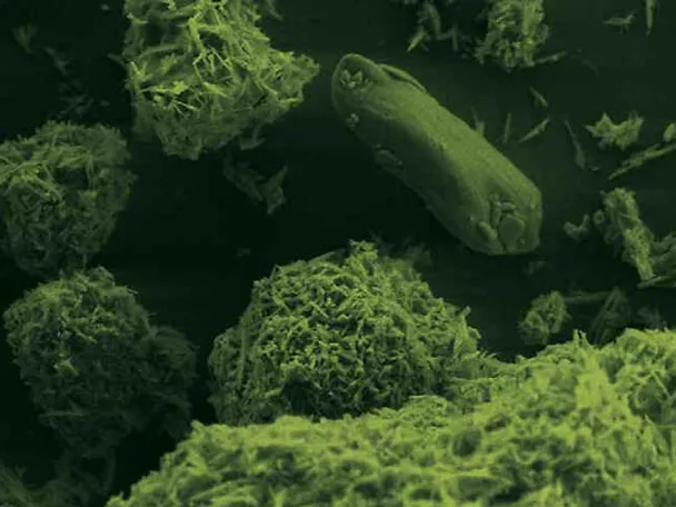 BC.MAGXX - Non ancora verificato BC.MAGXX - Non ancora verificato