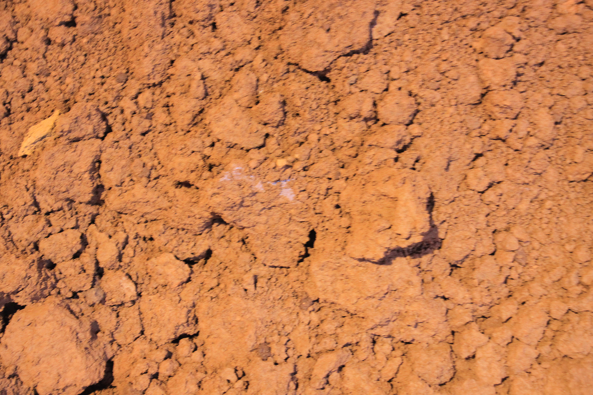 sbe_de_bc_atox_scon_produzione_3 sbe_de_bc_atox_scon_produzione_3