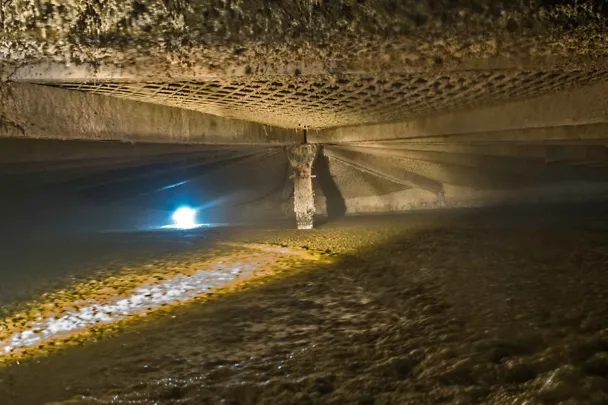 Vista sul fermentatore Vista sul fermentatore