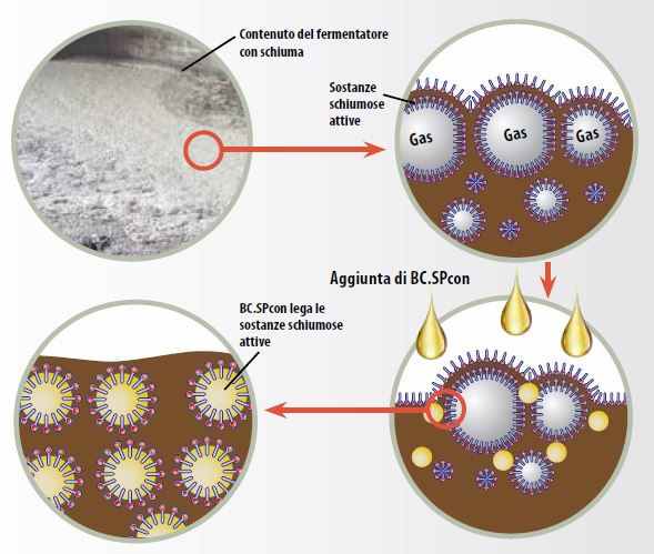 it_bc_spcon_grafik it_bc_spcon_grafik