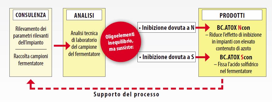 it_Grafik_BC_Atox_Ncon_Scon it_Grafik_BC_Atox_Ncon_Scon