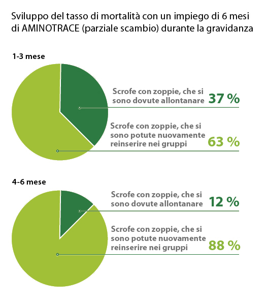AMINOTRACE AMINOTRACE