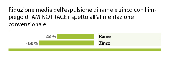 Reduktion von Kupfer und Zink Reduktion von Kupfer und Zink