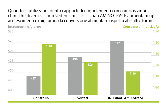 AMINOTRACE aumenta l'aumento AMINOTRACE aumenta l'aumento