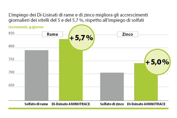 AMINOTRACE per bovini AMINOTRACE per bovini
