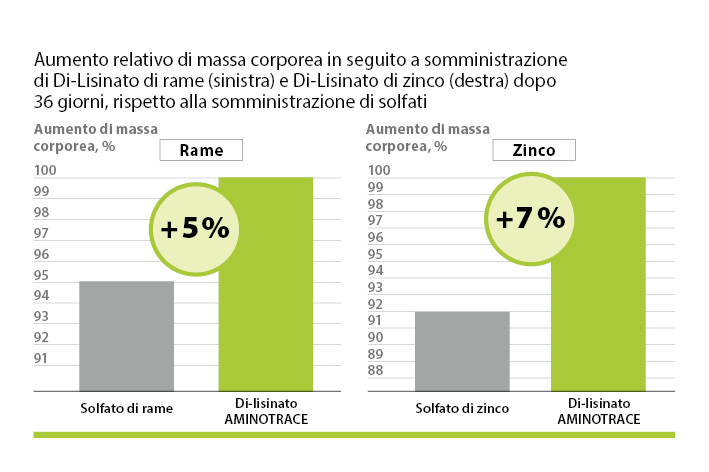 AMINOTRACE degli avicoli AMINOTRACE degli avicoli