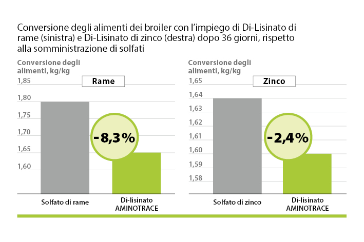 AMINOTRACE avicoli AMINOTRACE avicoli